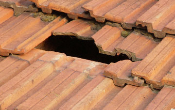roof repair Lusty, Somerset